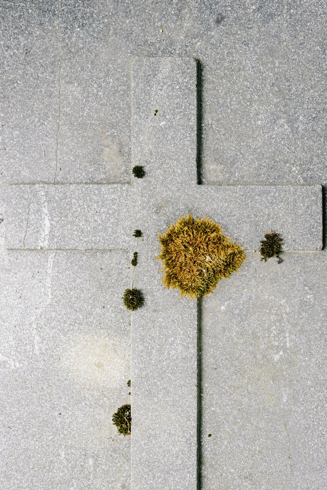 Er det skimmelsvamp eller er det bare snavs?